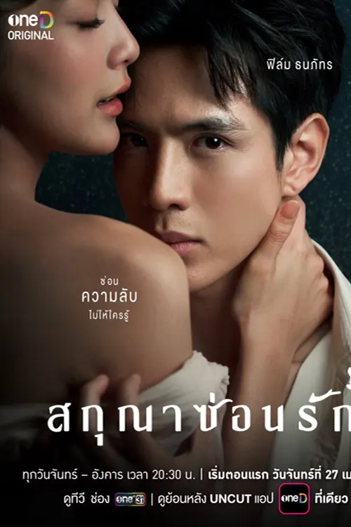 Cánh Chim Giấu Tình